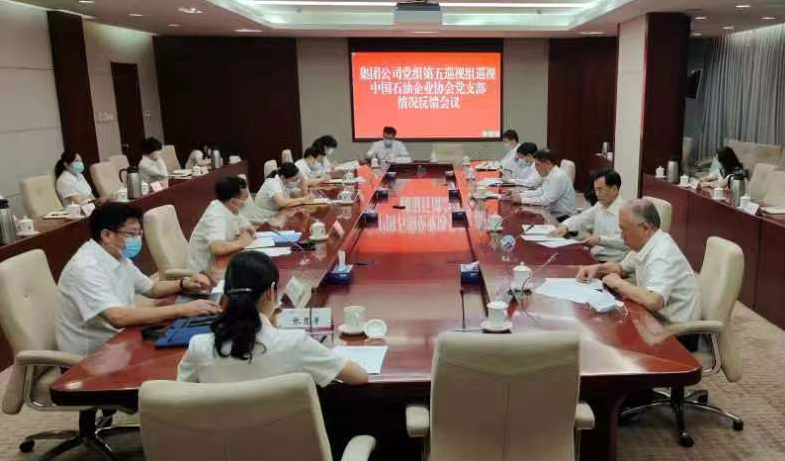 集团公司党组第五巡视组向中国石油企业协会党支部反馈巡视情况